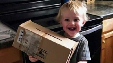 Photo of My Son Came Home with a ‘Gift’ from Our Neighbor — When I Saw What Was in the Box, I Decided to Move Out