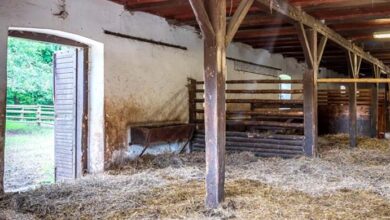 Photo of My In-Laws Told My Kids to Sleep in a Shed – Their Reason Shocked Me, but Karma Soon Intervened