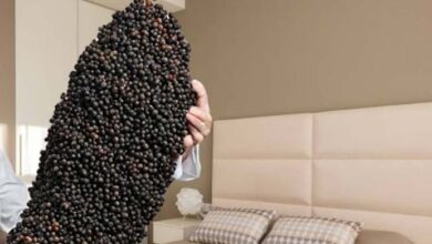 Photo of Embrace the Mystical Benefits of Black Pepper