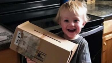 Photo of My Son Brought Home a ‘Present’ from Our Neighbor — Upon Seeing the Box’s Contents, I Chose to Relocate | LOLitopia