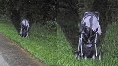 Photo of Woman Issues Frightening Warning After Finding a Stroller Abandoned on the Side of The Road