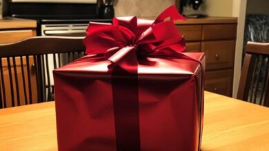 Photo of My Husband’s Mistress Sent Me a Box on My Birthday – I Was Stunned by What I Found Inside