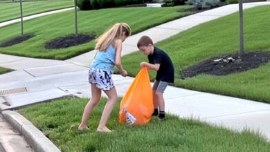 Photo of Neighbor’s Kids Were Cleaning Our Street Every Sunday – When I Found Out What They Were Truly Doing, I Was at Loss for Words