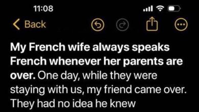 Photo of A Dinner Invitation Unveils a Hidden Secret: My Friend’s French Fluency Exposes a Family Drama