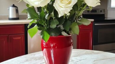 Photo of I Mourned My Wife for 5 Years – One Day, I Was Stunned to See the Same Flowers from Her Grave in the Kitchen Vase