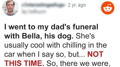 Photo of Dog Barks at Coffin during Funeral, Suspicious Son Opens It and Finds It Empty