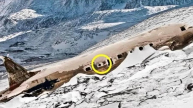 Photo of Unraveling the Enigma Behind Alaska’s Lost Jet