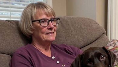 Photo of My mom let’s her big dog stay on the couch. I decided to teach her a true lesson