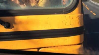 Photo of I Saw a Child on the School Bus Hitting the Back Window and Yelling for Help