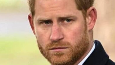 Photo of DEADLY FALL Prince Harry is devastated with grief. With heavy hearts, we announce the passing.