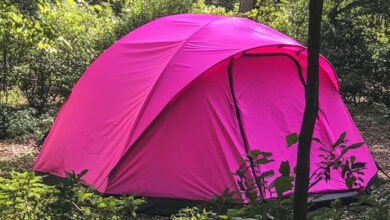 Photo of I RETURNED HOME FROM MY DAUGHTER’S FUNERAL TO FIND A TENT IN MY BACKYARD.