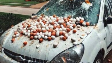 Photo of My neighbor pelted my car with eggs because he claimed it obstructed the view of his Halloween decorations