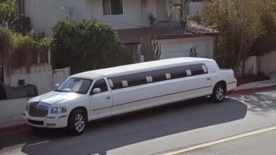 Photo of Man Gives Salary to Woman with Child Asking for Money for a Ticket, Next Day, a Large White Limousine Pulls up to His House