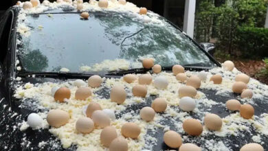 Photo of My Neighbor Threw Eggs at My Car Because It Was ‘Blocking the View’ of His Halloween Decorations